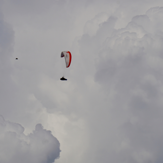 Picture Fly with Andy